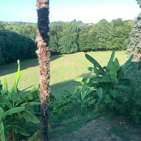 Le Petit Bourdieu - Chevreuil Appartement Jurançon