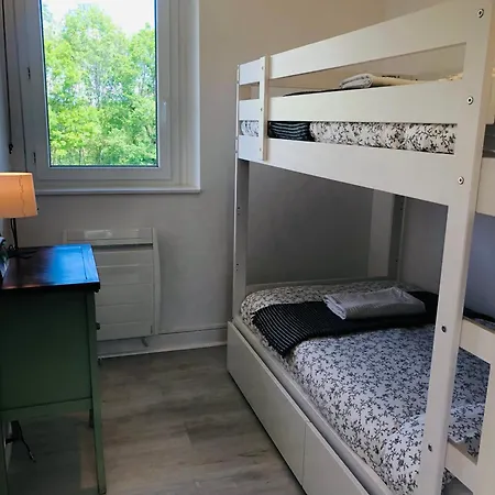 Le Petit Bourdieu - Chevreuil *