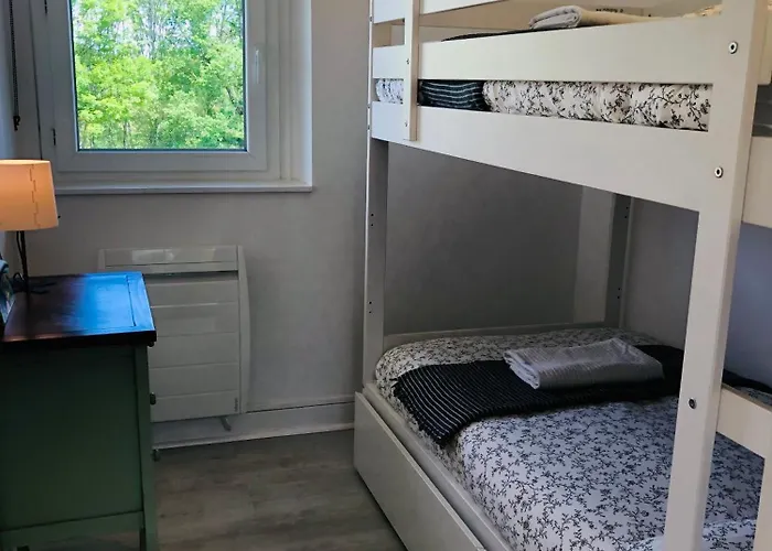 Le Petit Bourdieu - Chevreuil *